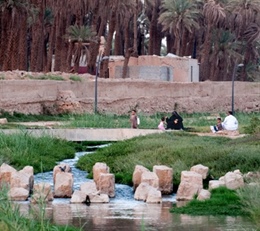 The benefits of a revived urban watercourse in Riyadh